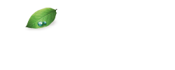 Getha Lux Suite